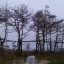 난지도 관광지 이미지