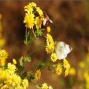 금강로하스 해피로드(2) 이미지