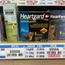 새누리약국 이미지