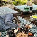 신진식당 - 여수시 | 신진식당