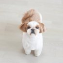 뭉치쌀롱 이미지