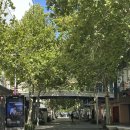 뉴캐슬호스텔 | 호주 여행 | 퍼스 Day 2, 피나클스 현지 투어 다녀옴 (무조건 한인 투어로 가세요..)