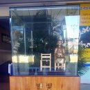 조선대학여자고등학교 이미지