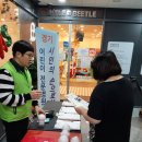 리틀비틀다산