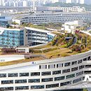 청사큰길 이미지