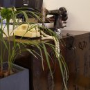 다온웍스 이미지