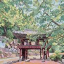 나무와 해(海) | 무우전(無憂殿)도 해우소(解憂所)도 국보급인 사찰 : 선암사(4)