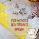 아름동물병원 | 부산고양이미용·최고! 고양이호텔 전문 냥지곤지ㅣ렉돌냥솔직후기