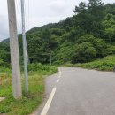 황계천 이미지