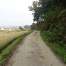 여강길(7코스 부처울습지길) 이미지