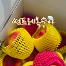 승주농장 이미지