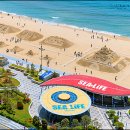 (주)힐링코리아 이미지