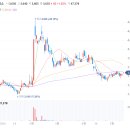 소노하이브 이미지