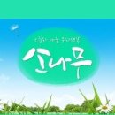 (수정)&#34;예성이네 집&#34;-mbn＜소나무 ＞-재방송일정 추가 이미지