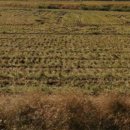 부석면사무소 이미지