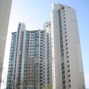 대전신세계공인중개사사무소 이미지