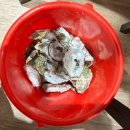 굴&매생이 전문 이미지