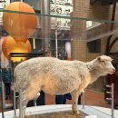 (주)일진과학 | [런던생존일지] 8주차: 과제하다 말고 아이슬란드 간 세끼