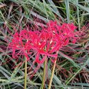 효창공원 이미지