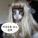 까미하우스 이미지