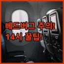 서예 A | 쿤밍 진마비지팡 숙소 완벽 가이드 베드버그 후기부터 14시 체크아웃 꿀팁까지