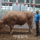 이진철농장 이미지