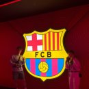 HOTEL LEO | Europe 13. 스페인 바르셀로나 신혼여행 2박3일 일정(2일차) 코스 - ( 가우디투어/FC바르셀로나박물관...