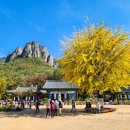 (주)대전사 이미지