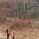 11/4(토) 늦가을 낙엽 밞는 트레킹~백사실계곡 북한산 둘레길 이미지