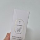 Y헤어 - 창원시 마산합포구 | 브라질리언 왁싱 후 관리, 인그로운헤어 고민이라면 내모메 Y존 보습 크림 후기