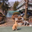 일영모자농원캠핑장 | 전화로 예약받고 입퇴실 시간 널널한 수도권 캠핑장 - 양주 일영모자농원 캠핑장