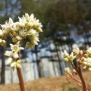 중3동 우체국 이미지