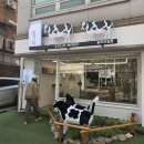 플러스마이너스25 | 잠실 송리단길 카페 플러스마이너스밀크티 선물용 내돈내산