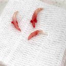 해밀동물병원 이미지