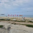카페양양 | 양양 모하나 카페 후기 | 잔교리해변 앞 반려견 동반 오션뷰 카페 추천