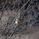 황골공원 이미지