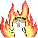 다이소강남대점 이미지