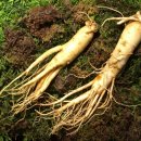 덕인농장 이미지