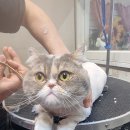 유스타 그루밍 이미지