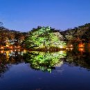 서울밤 이미지