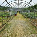 양편농장 이미지