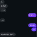 트로트 공주 콘서트 | 11년차 무무가 4년만에 맞이한 완전체 컴백을 즐기는 법