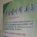 동강맑은송어 이미지