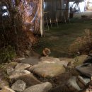 남이섬앤디펜션 | 가평스파펜션 [남이섬앤디펜션] 후기