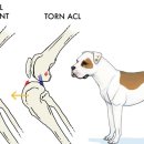 신탄진동물병원 이미지