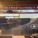 경성 | 청량리역 겜성테마 스파 가족 숙소 스테이 패스포트 익스프레스 경성 솔직 후기