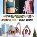 노화태권도 이미지