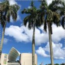 홈플러스입구(동)1 이미지