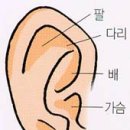 이혈요법 이미지