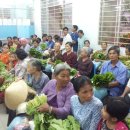 미원야채 이미지